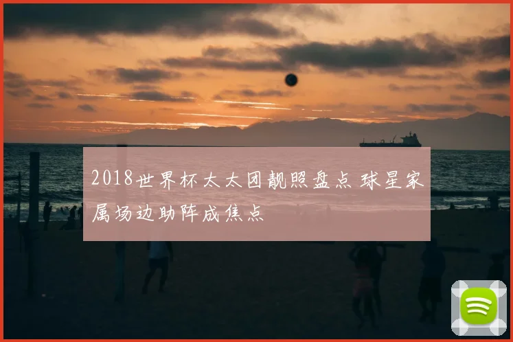 2018世界杯太太团靓照盘点 球星家属场边助阵成焦点