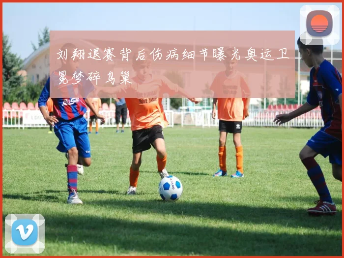 刘翔退赛背后伤病细节曝光奥运卫冕梦碎鸟巢