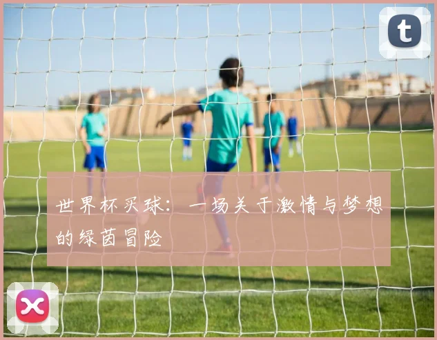 世界杯买球：一场关于激情与梦想的绿茵冒险