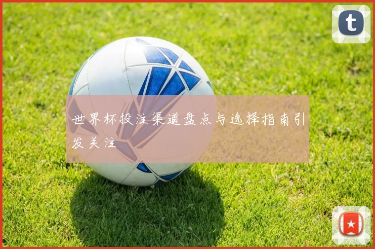 世界杯投注渠道盘点与选择指南引发关注