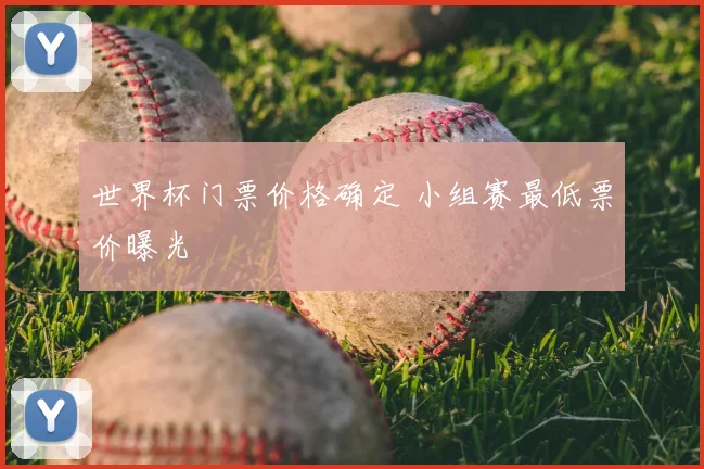世界杯门票价格确定 小组赛最低票价曝光