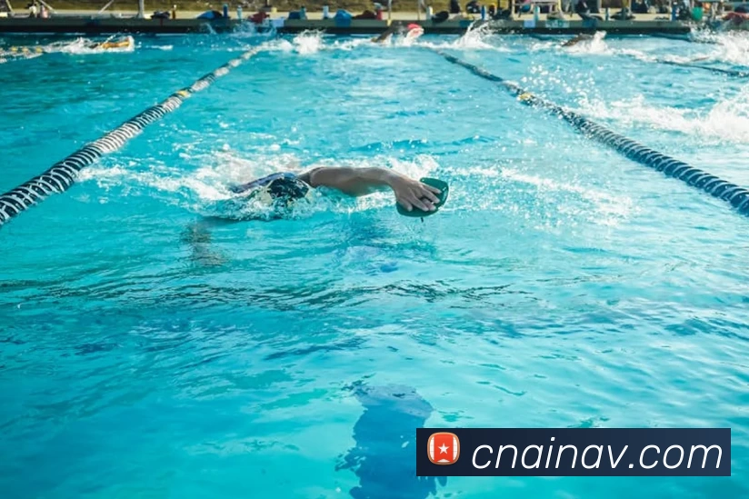 熊猫官网入口(中国)官网入口APP 封面图